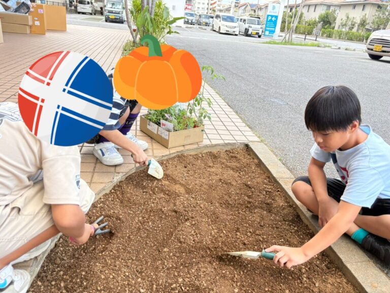🌸🌼🌷🏵️☘️🌱